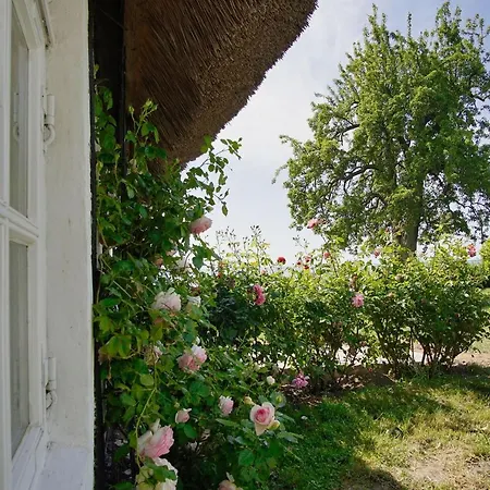 Strandnahe Idylle Am Meer, Private Badestelle Mit Strandkorb - Gutshof Ostseeblick Nr 04 *