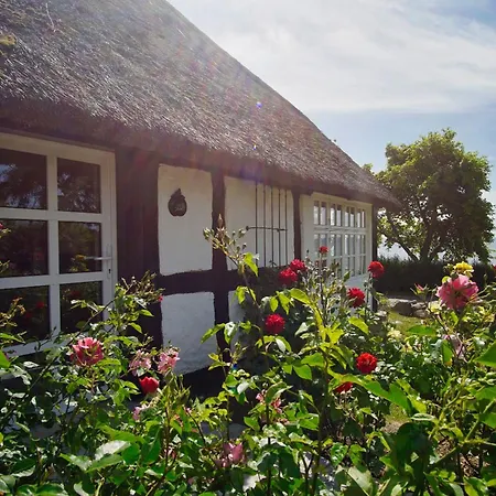 Strandnahe Idylle Am Meer, Private Badestelle Mit Strandkorb - Gutshof Ostseeblick Nr 04 Lejlighed