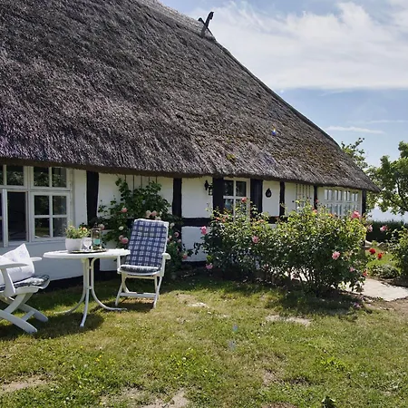 Strandnahe Idylle Am Meer, Private Badestelle Mit Strandkorb - Gutshof Ostseeblick Nr 04 *